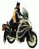 Batgirl ©